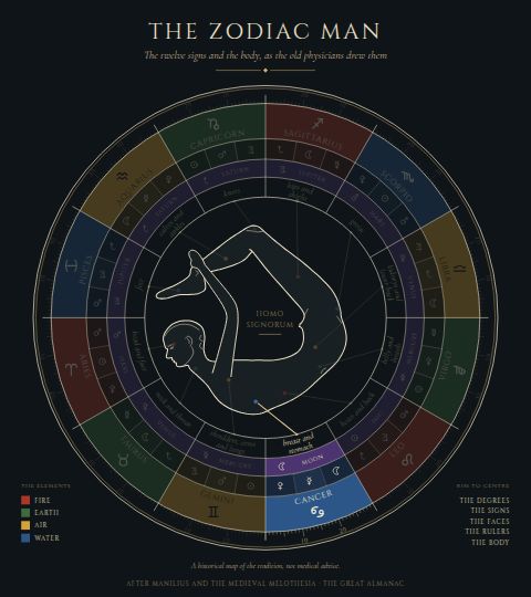 The Zodiac Man, with Cancer lit: the breast and stomach.