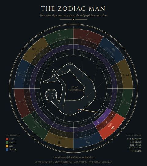 The Zodiac Man, with Leo lit: the heart and back.
