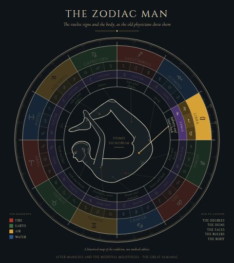 The Zodiac Man, with Libra lit: the kidneys and lower back.