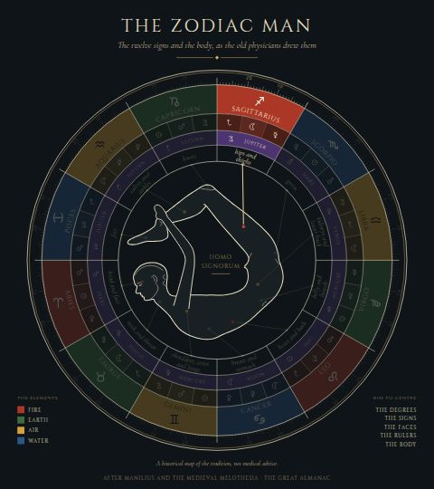 The Zodiac Man, with Sagittarius lit: the hips and thighs.