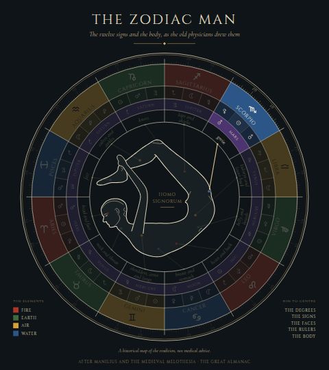 The Zodiac Man, with Scorpio lit: the groin.