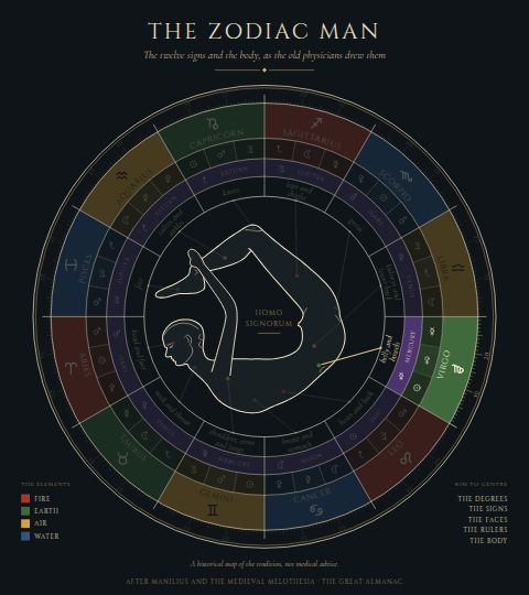 The Zodiac Man, with Virgo lit: the belly and bowels.