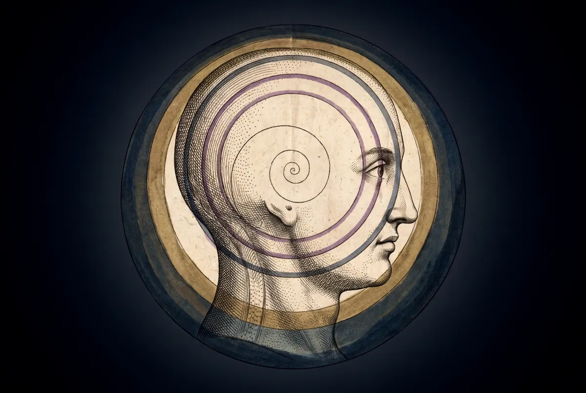A head in profile as an engraved diagram, concentric rings drawn within it