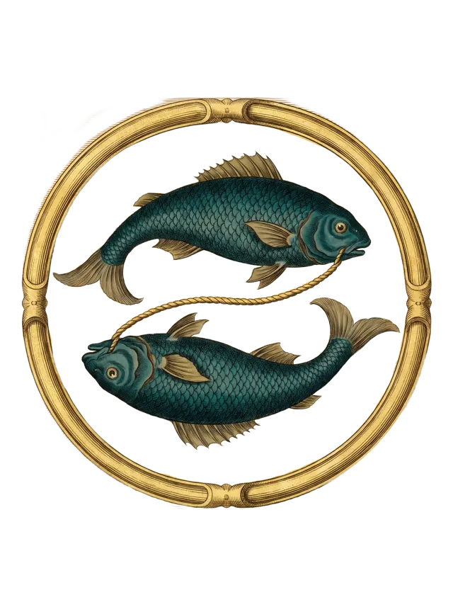 Pisces: two fishes joined by a slender cord, deep teal scales, as a hand-tinted copperplate engraving
